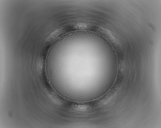 X0000116460645200912091249
