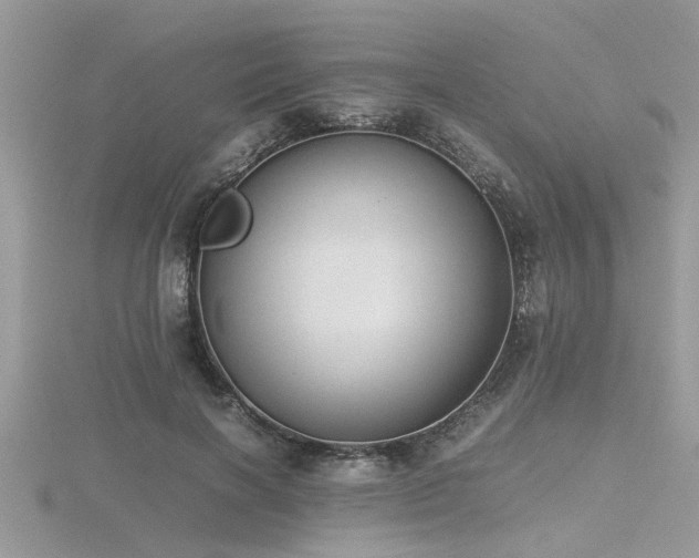 X0000116460646200912091249