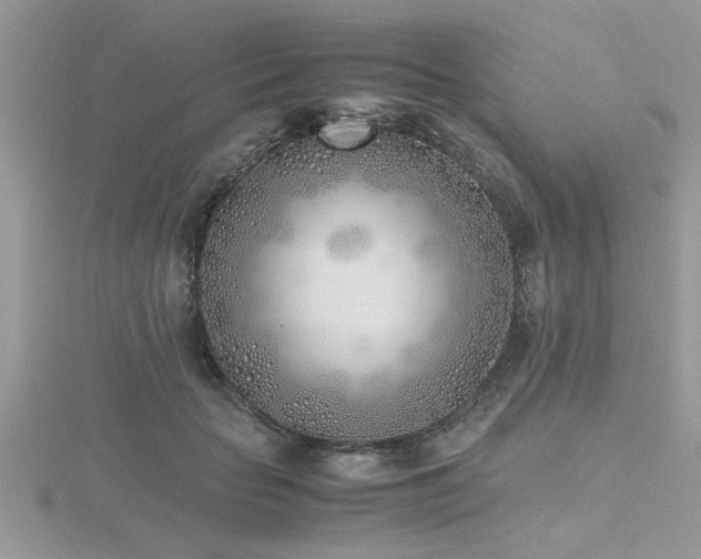 X0000116460653200912091249