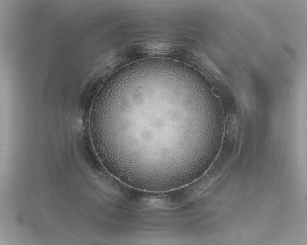 X0000116460655200912091249