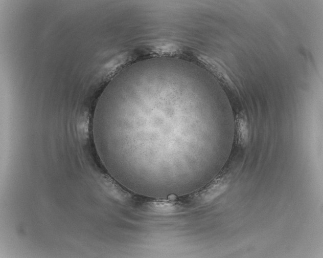 X0000116460668200912091249