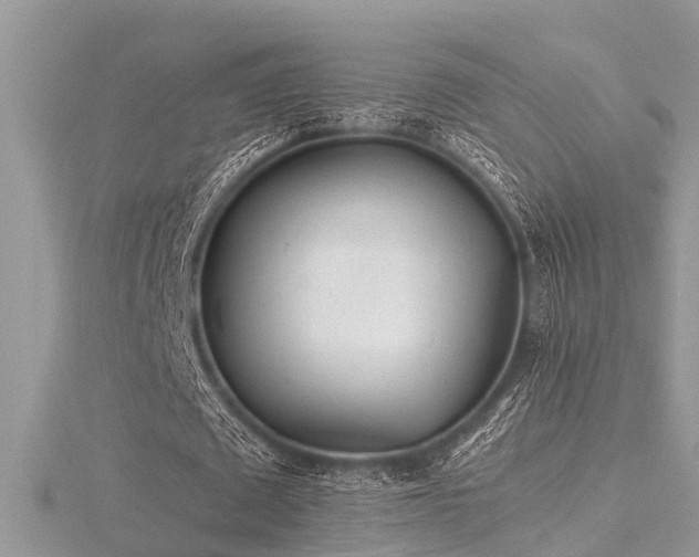 X0000116460673200912091249