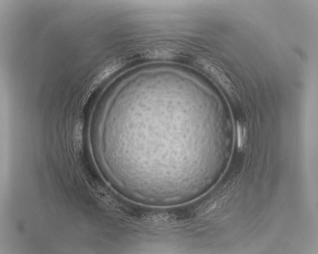X0000116460675200912091249
