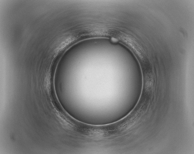 X0000116460677200912091249