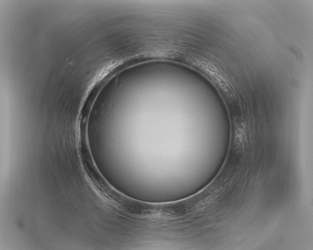 X0000116460678200912091249