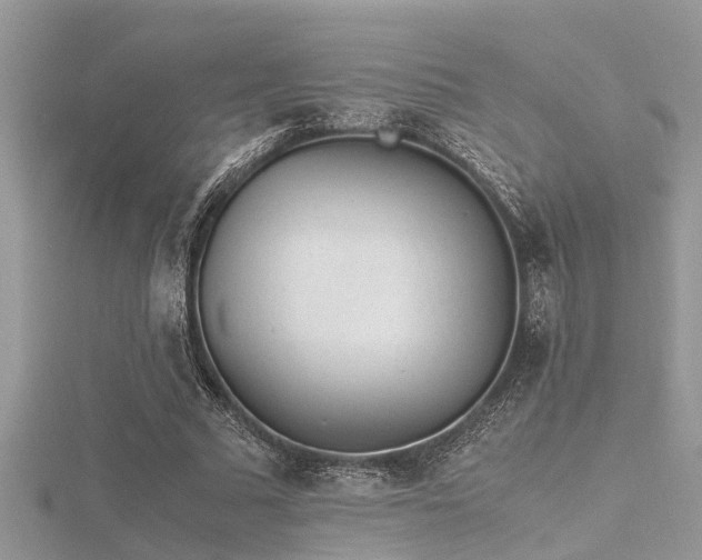 X0000116460681200912091249