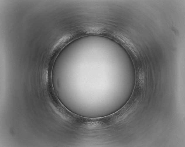 X0000116460686200912091249