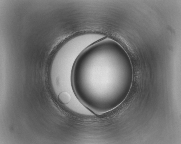 X0000116460688200912091249