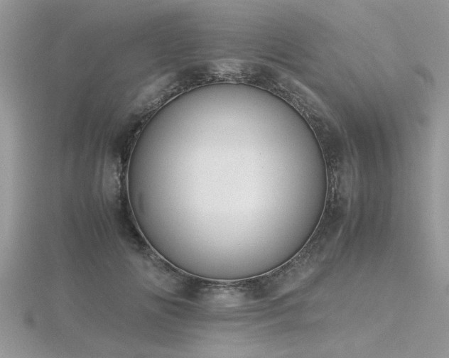 X0000116460702200912091249
