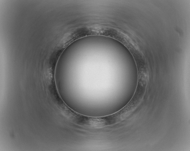 X0000116460707200912091248