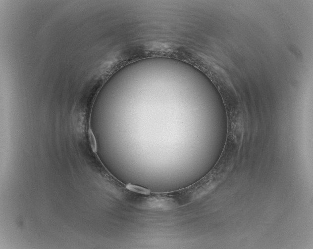 X0000116460708200912091248