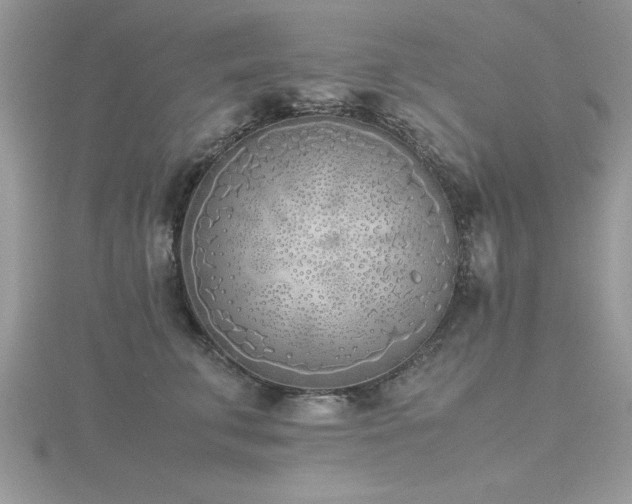 X0000116460711200912091248
