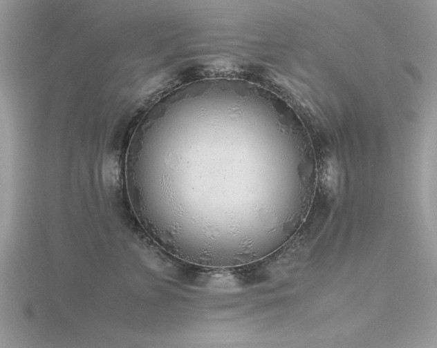 X0000116460715200912091248