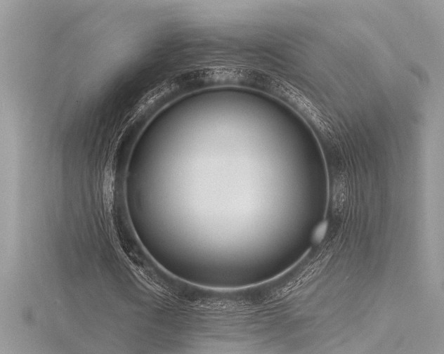 X0000116460722200912091248