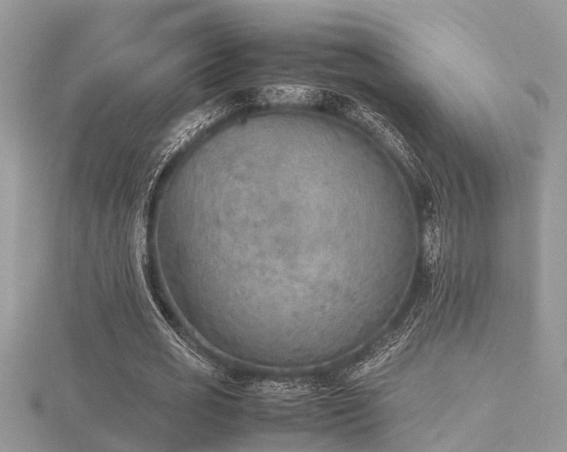X0000116460725200912091248