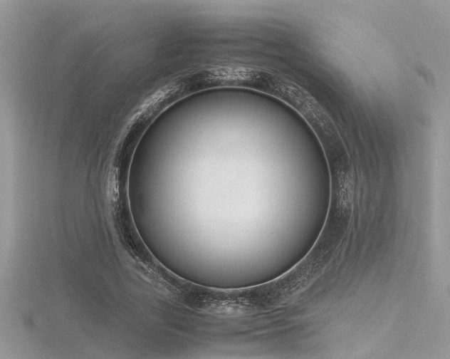 X0000116460731200912091248