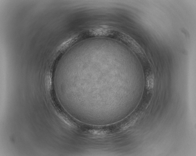 X0000116460733200912091248