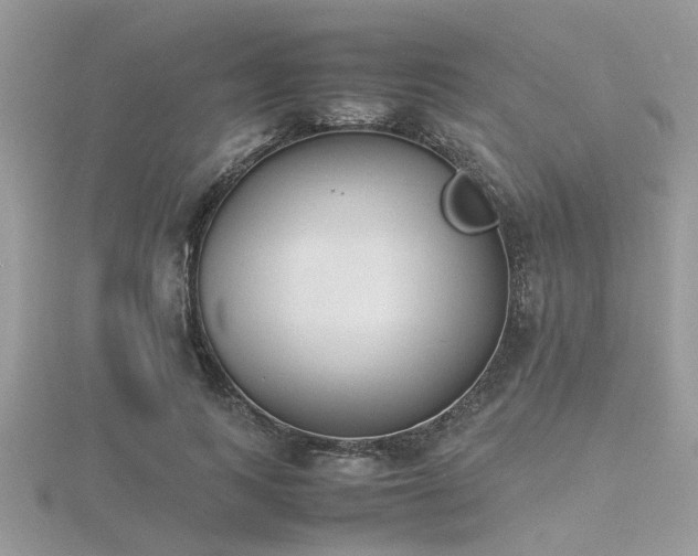 X0000116460743200912091248