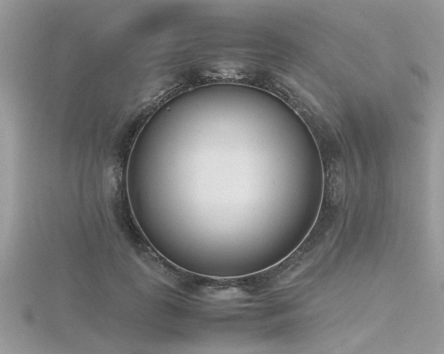 X0000116460747200912091248