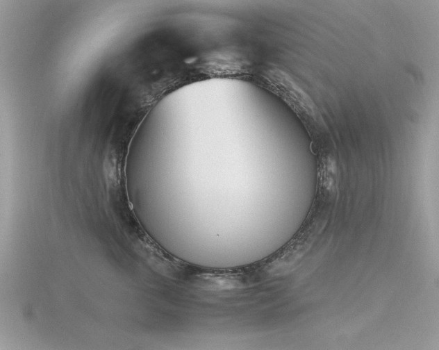 X0000116460763200912091248