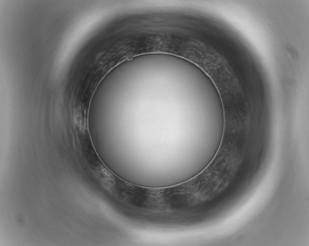 X0000116460766200912091248
