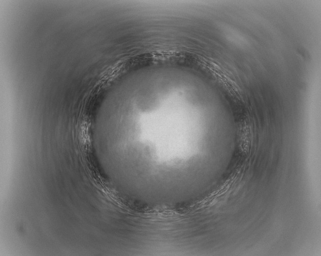 X0000116460770200912091248