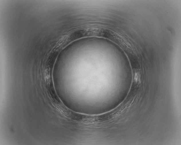 X0000116460771200912091248