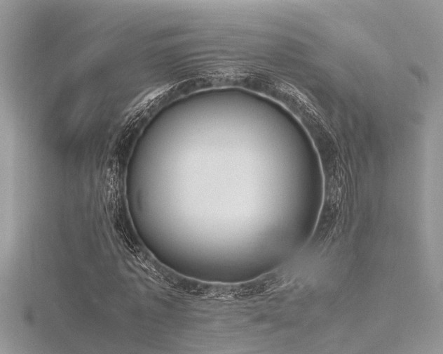 X0000116460773200912091247