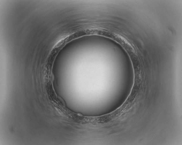 X0000116460775200912091247
