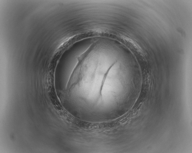 X0000116460776200912091247