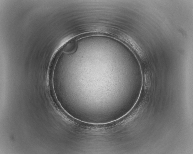X0000116460780200912091247