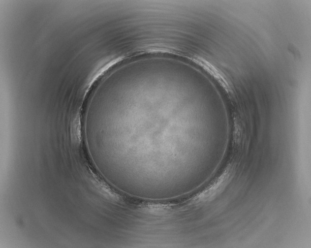 X0000116460782200912091247
