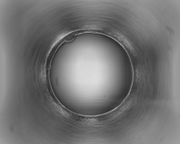 X0000116460784200912091247