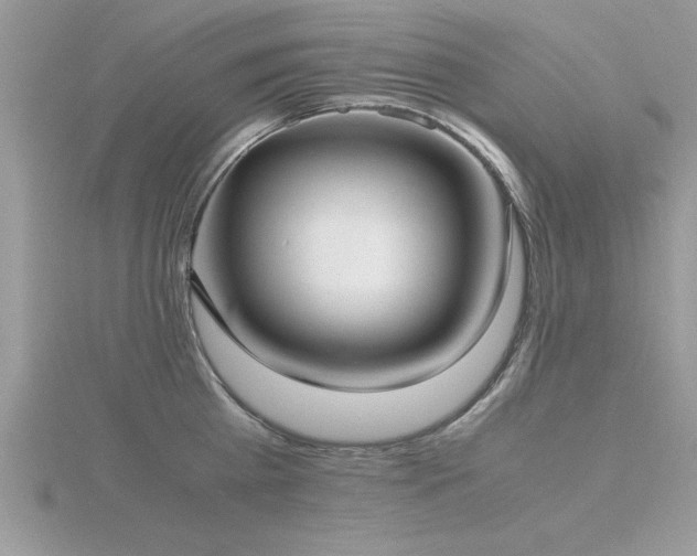 X0000116460809200912091247