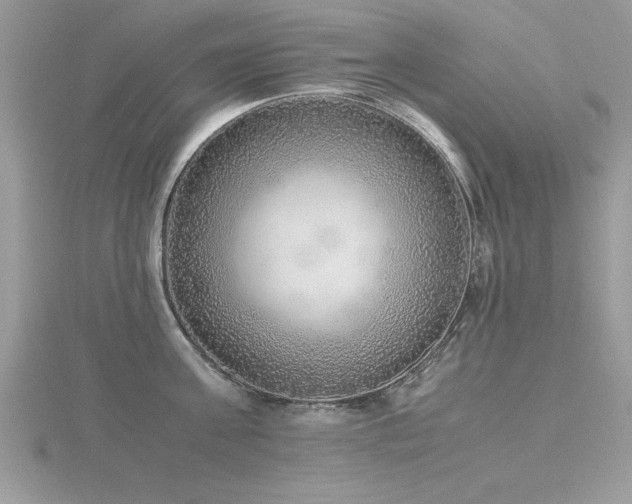 X0000116460811200912091247