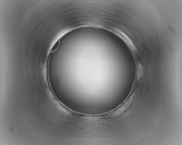 X0000116460812200912091247
