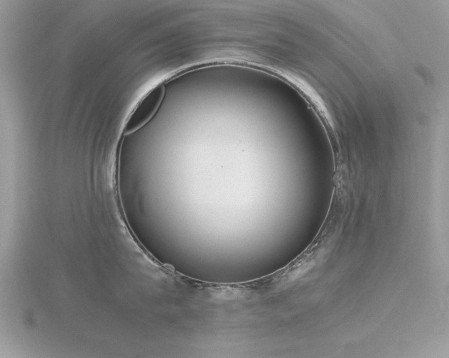 X0000116460815200912091247