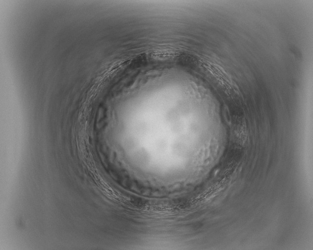 X0000116460817200912091246