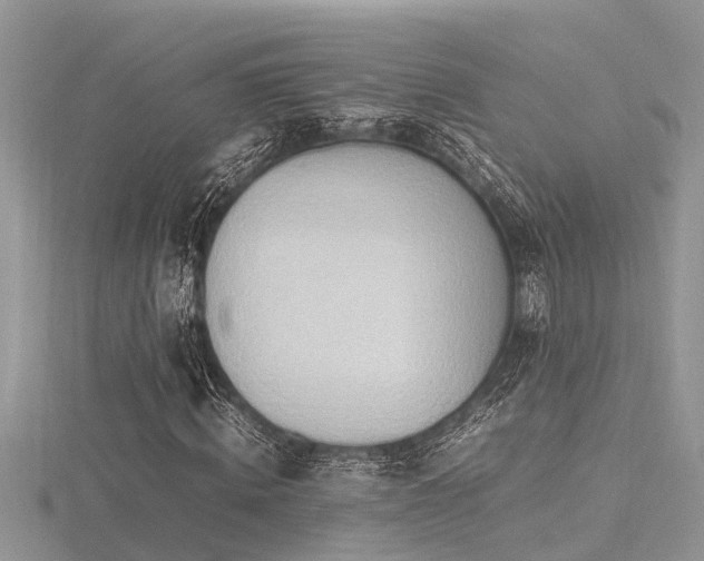 X0000116460820200912091246