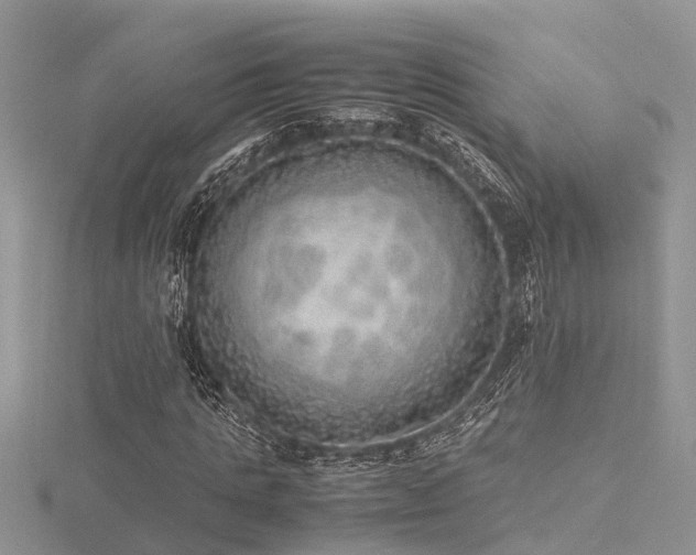 X0000116460821200912091246