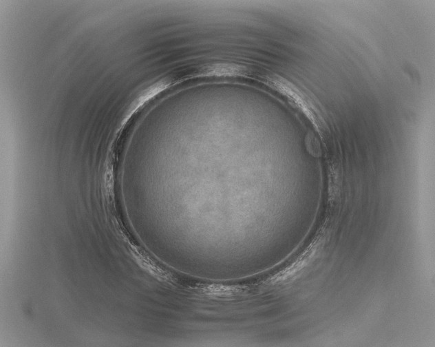 X0000116460827200912091246