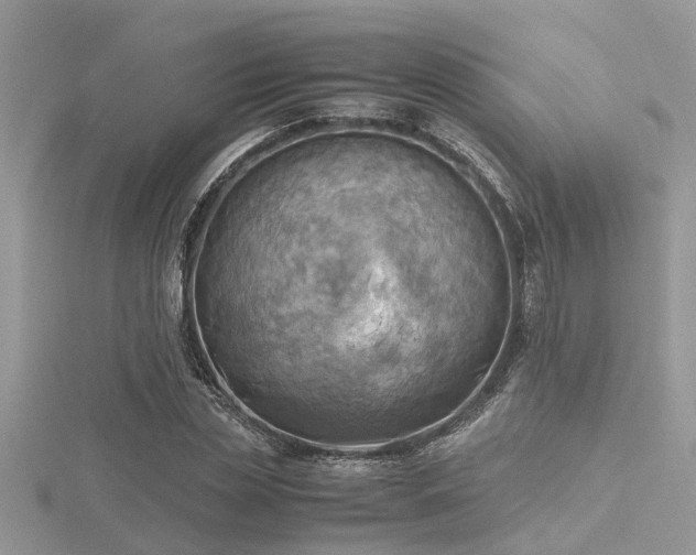 X0000116460829200912091246