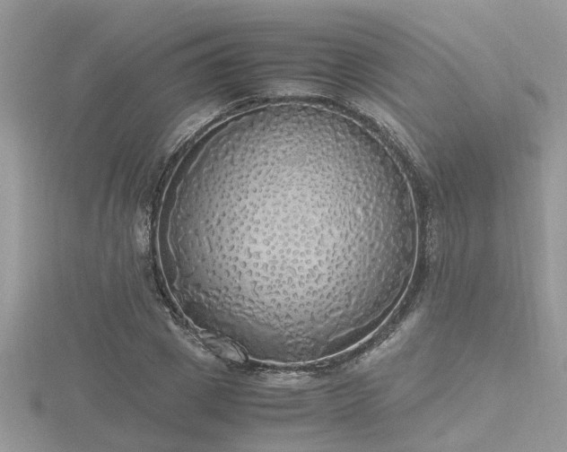 X0000116460833200912091247