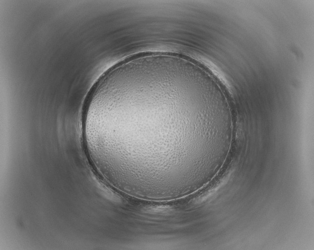X0000116460837200912091247