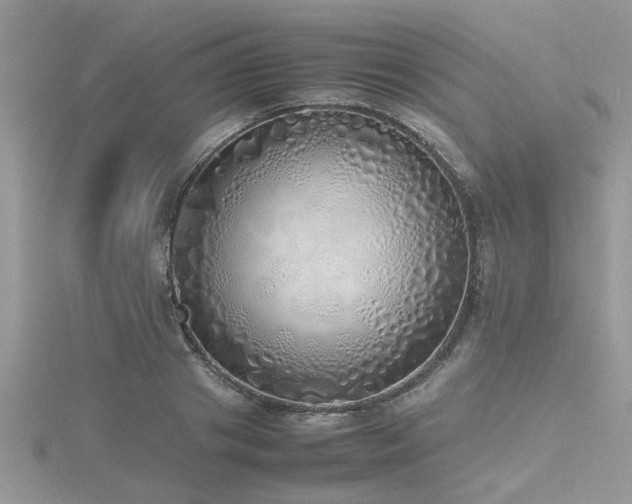 X0000116460841200912091247