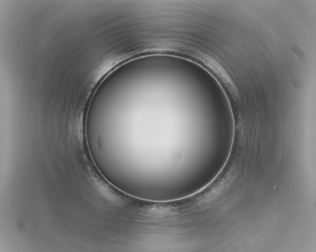 X0000116460842200912091247