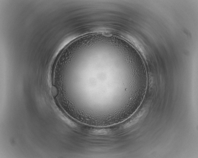 X0000116460843200912091247