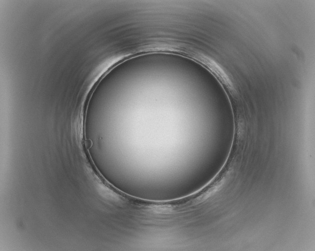 X0000116460844200912091247