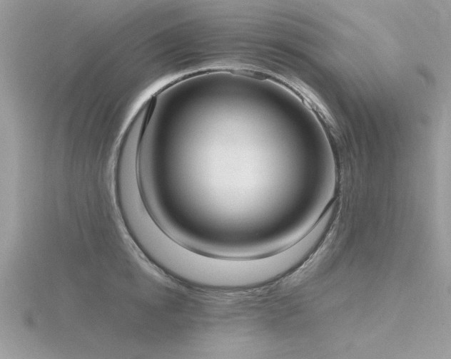 X0000116460854200912091247