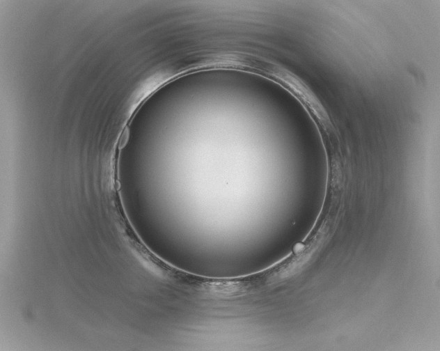 X0000116460858200912091247